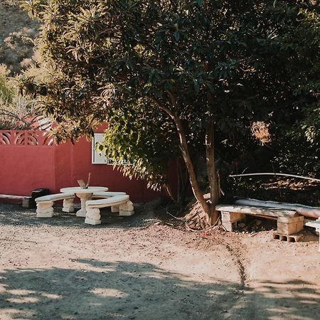 Vivelorural Tunte 4 Great Pool & Bbq Villa San Bartolomé Dış mekan fotoğraf